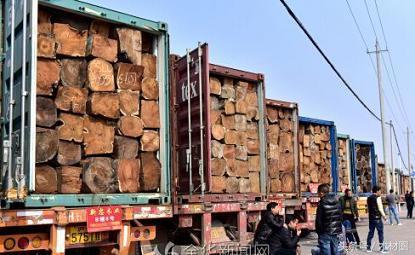 红木大果紫檀今年的价格,大果紫檀木料最新价格走势