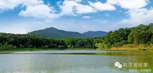 南京踏青赏梅乐享春光,赏梅园