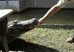 后面的那个小胖子，知道你很可爱，快走开我还要拍照呢！