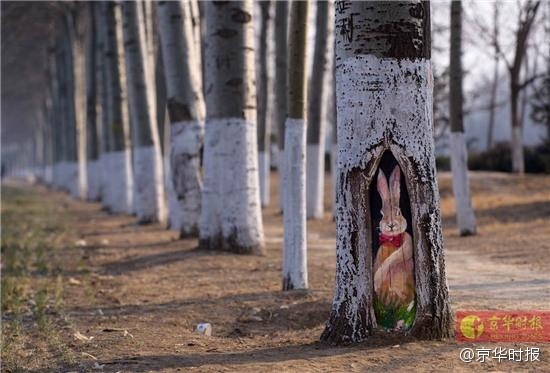 父亲为女儿植皮素材照片,父亲为女儿整容变毁容