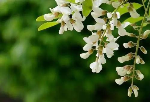 10首中国风音乐,中国风音乐最火的十首