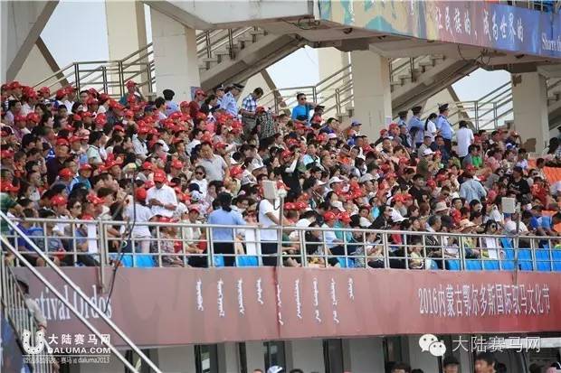 岂止比赛，更是盛会—2016内蒙古鄂尔多斯国际驭马文化节成功举办
