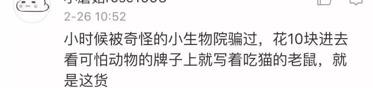 今朝上海｜闻臭师、遛娃师、衣橱整理师……这些奇葩职业的收入竟然那么高！也许你也隐藏着某些赚钱技能哦~