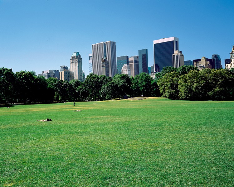 三重心跳曼哈顿多幕剧