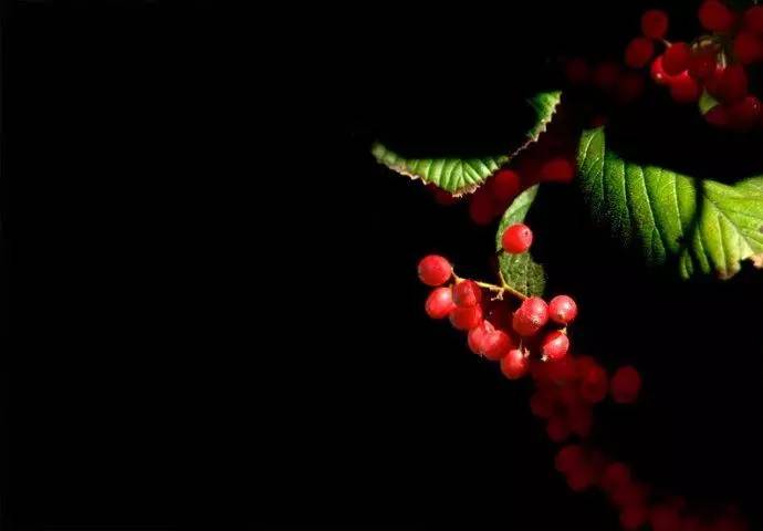 「诗词原创」陈天恩|空房独自频观月一寸相思几断肠?