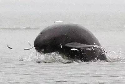 疼！一个铁钩，钩住的是全人类的的心