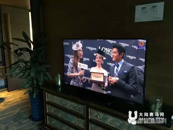 2014马术文化节,内蒙古第二届中国马文化节