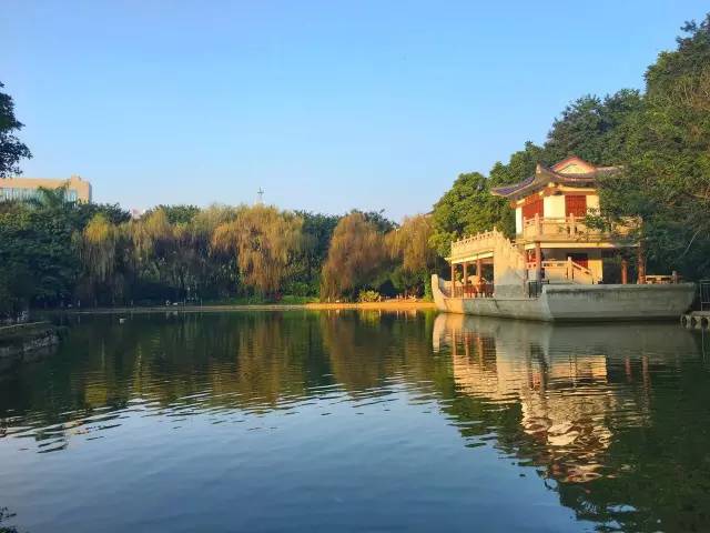 南宁游玩踏青攻略路线推荐,南宁春游赏花攻略图