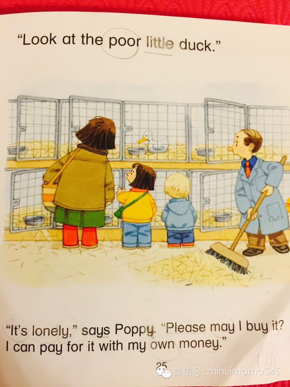 听西西读英文《农场故事集》第二篇：MarketDay