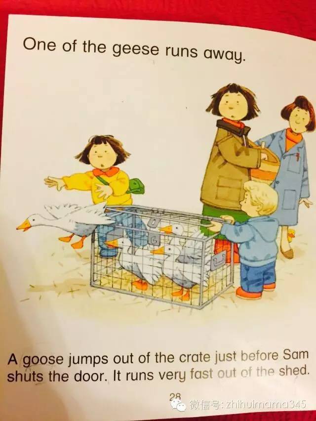 听西西读英文《农场故事集》第二篇：MarketDay