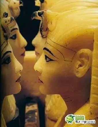 6个有趣奇闻异事保证你没听过,世界奇闻异事大全集