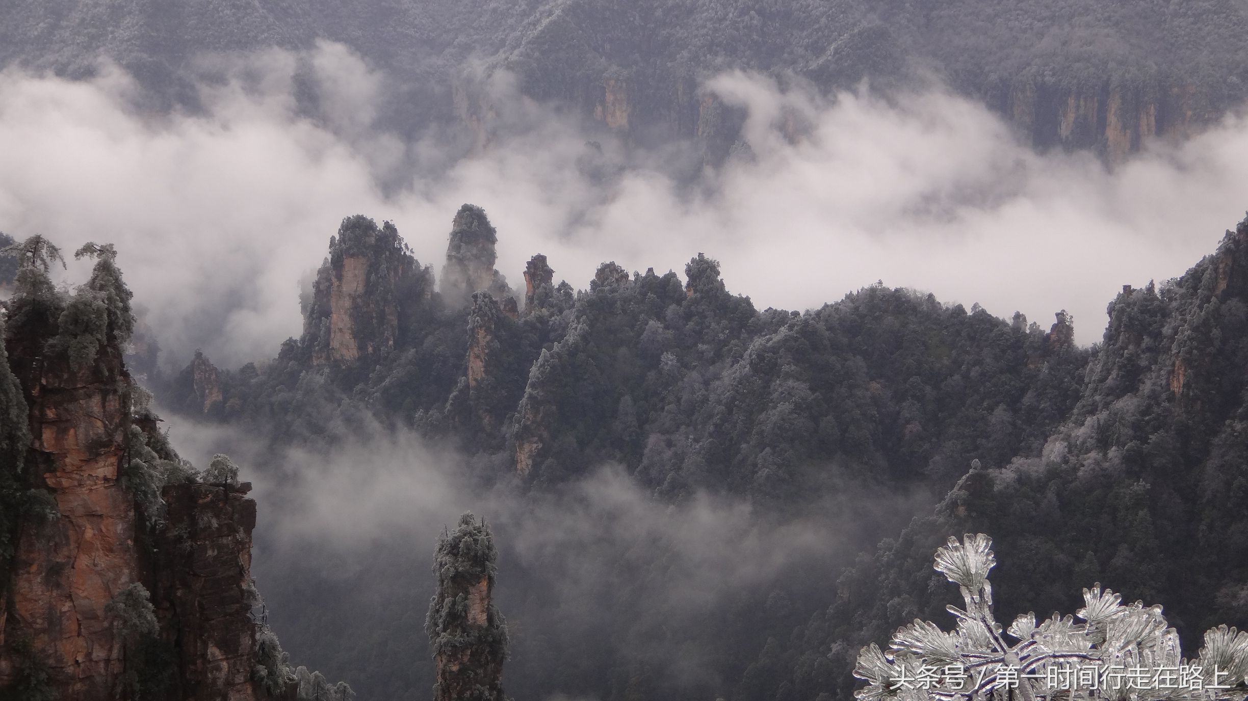 张家界浪漫之地,张家界最浪漫的婚纱