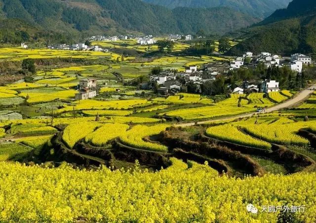 郑州到婺源自由行攻略,郑州去婺源怎么去