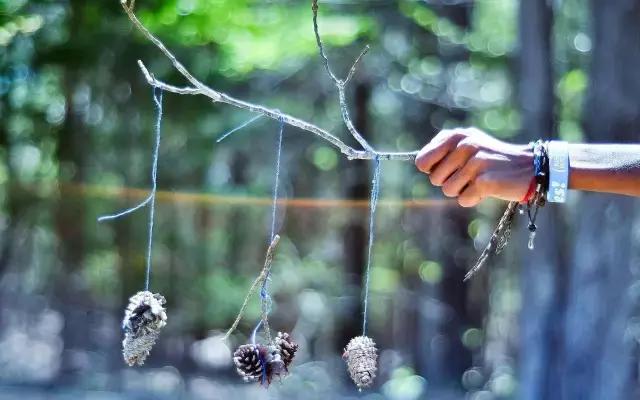 鲜芋仙新品芋圆系列,鲜芋仙45.9芋圆系列