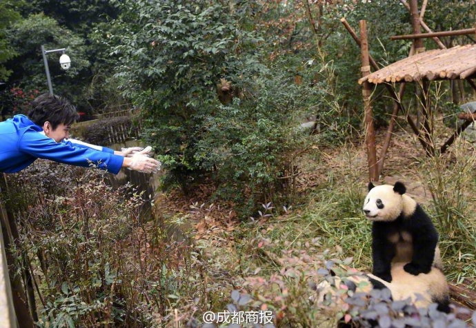 抱大腿暴富后续,抱大腿走上人生巅峰