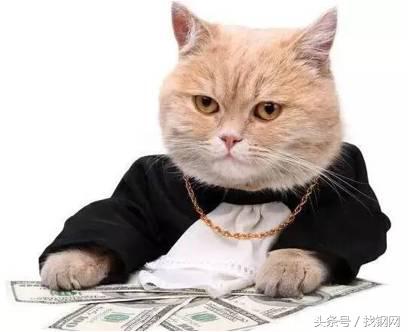 钢材销售员的一天，简直太形象了！笑喷……