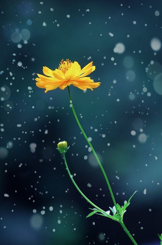 如何打造医院名医门诊,市医院专家门诊一览表