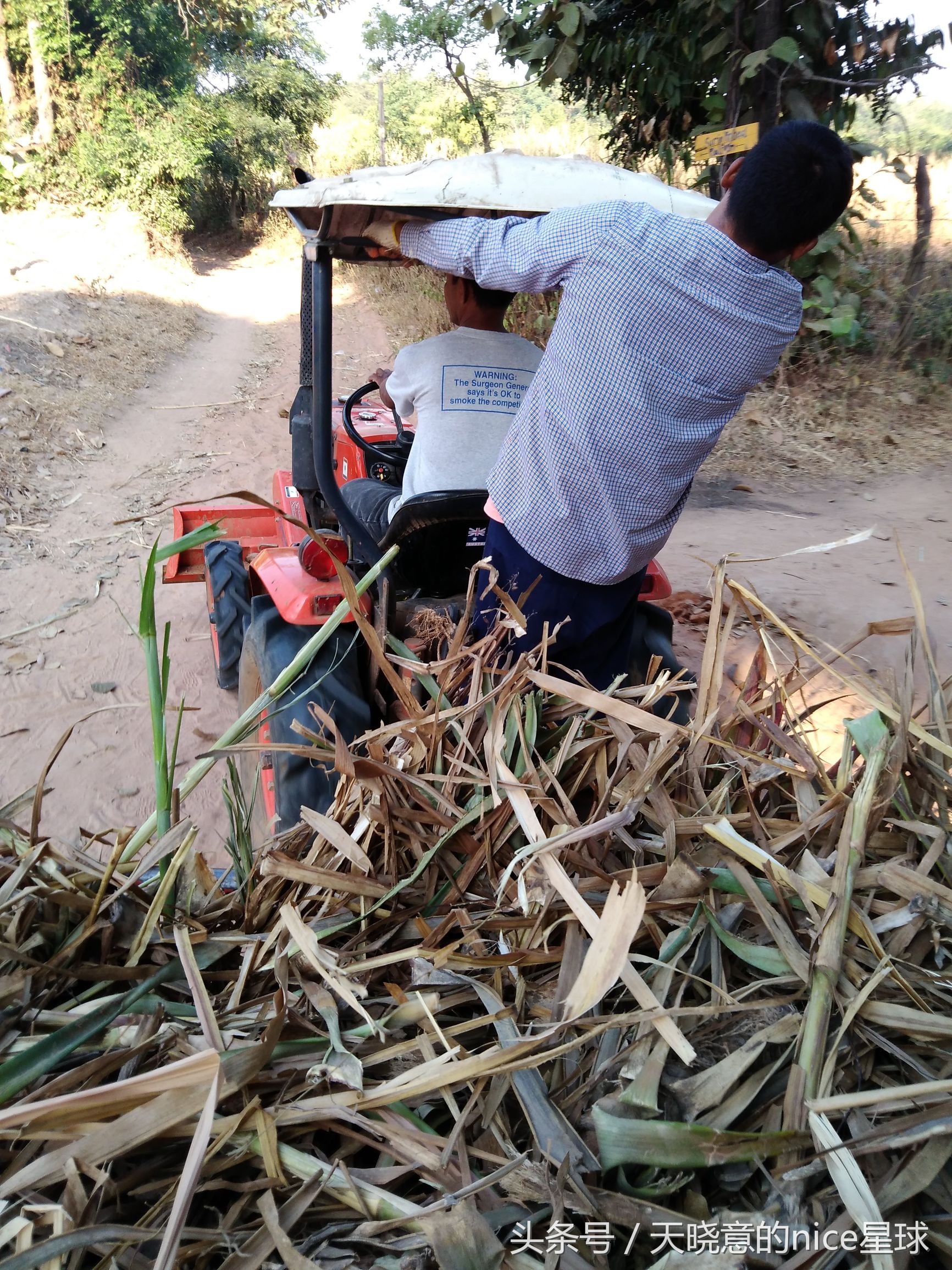 泰国大象旅行记,泰国旅游跟大象近距离接触