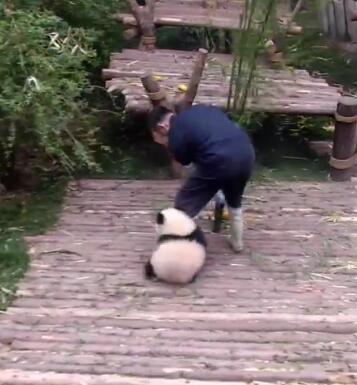 中国十大最火的外国网红,抖音百万网红姐弟抱大腿