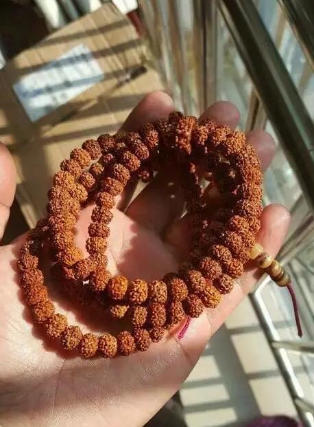 金刚菩提盘玩问题,金刚菩提怎么辨别是否机刷