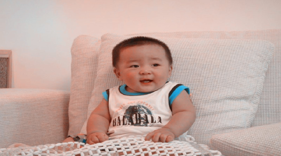 猫怀孕期间怎么补充营养,羊怀孕后期需要补充什么营养