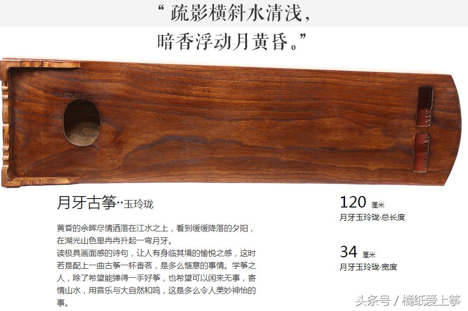 小古筝选什么牌子好,小古筝哪种好