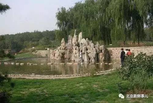 北京赏花踏青自驾游,北京国家森林公园踏青