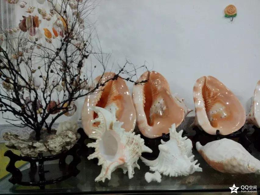 海南环岛自由行攻略最详细,海南环岛骑车多少公里