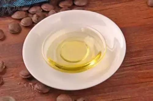 人类未来的重要食物是什么,美国十大未来食物