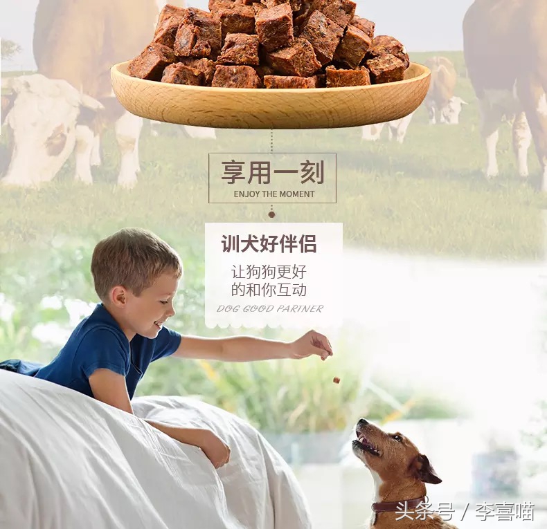 国产泰迪幼犬天然狗粮推荐,国产狗粮哪种最好