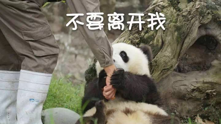 抱大腿暴富后续,抱大腿走上人生巅峰