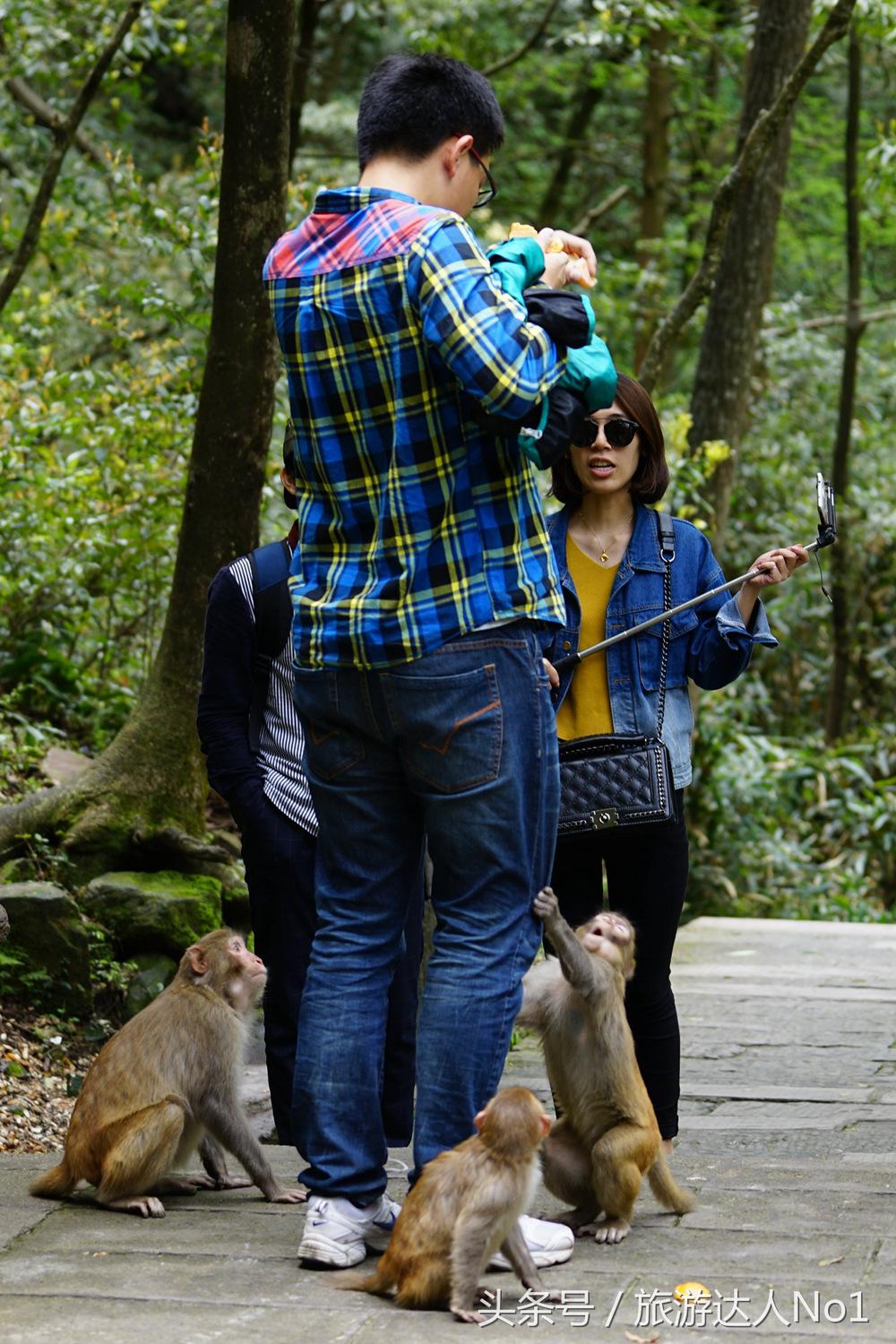 游记张家界8天旅游详细攻略,张家界天门山森林公园美景游记