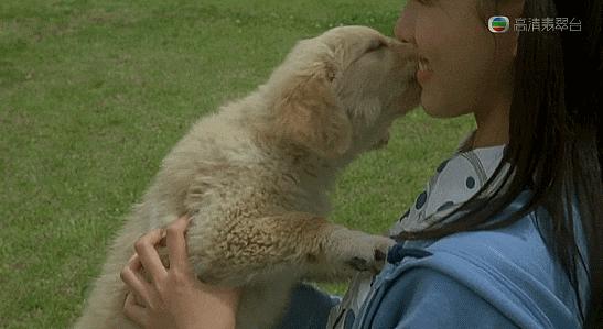 这些猫狗男女都爱看