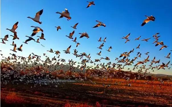 塞班岛新年自由行,塞班出国旅游攻略