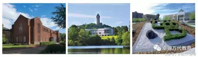 新加坡sim本科录取条件,新加坡sim学院是本科吗