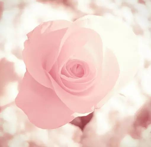 作为女人必须知道的八个方法,作为女人应懂什么