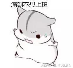 赵丽颖什么时候离开微博之夜,赵丽颖离开娱乐圈原因揭秘