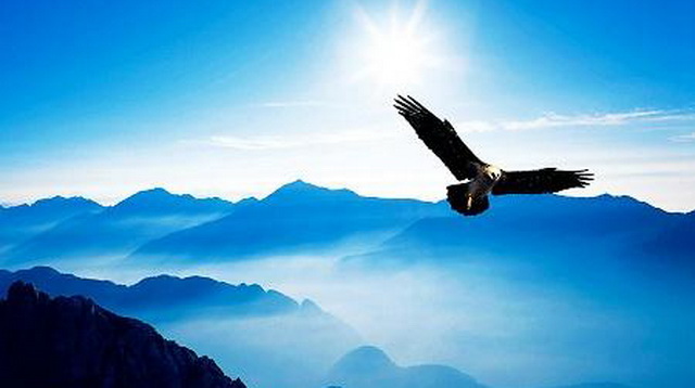 关于创业经典语录短句有哪些,拼一代的创业语录