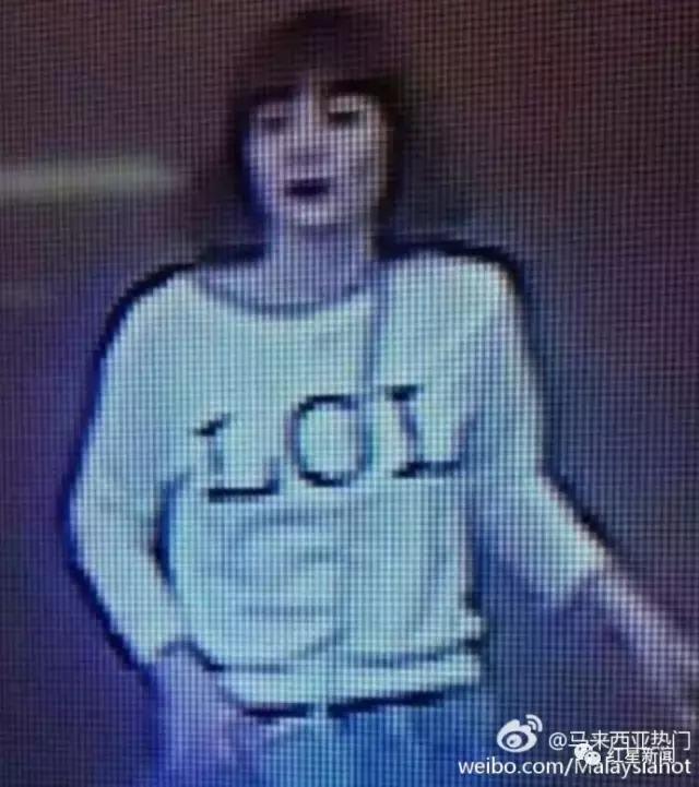 马来西亚杀女人案,马来西亚越南女杀人案