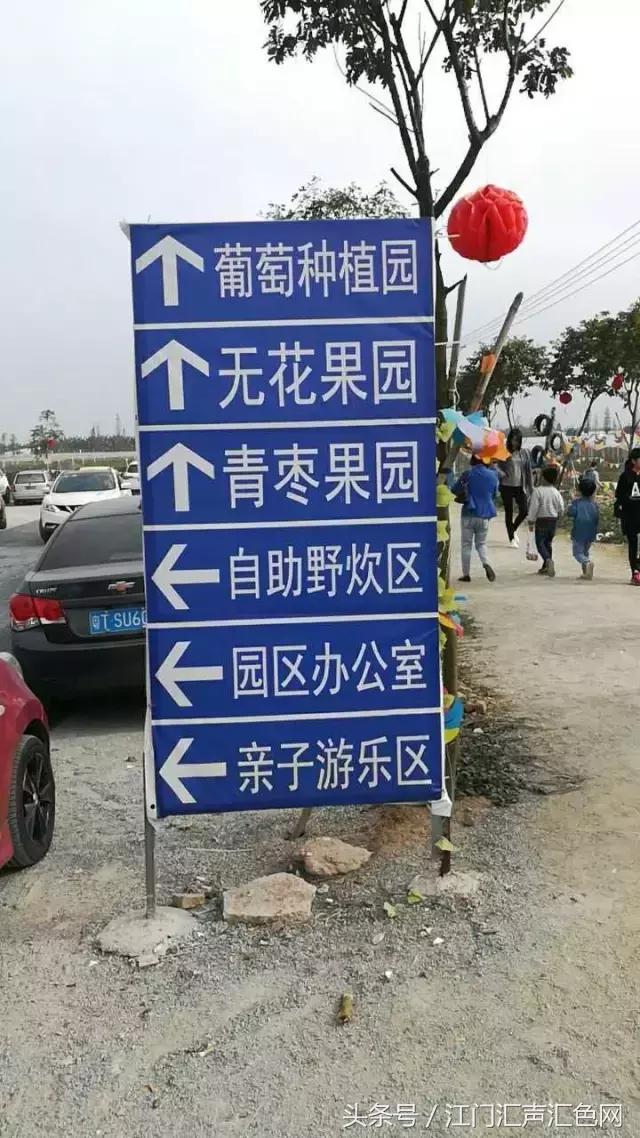 江门草莓采摘园在哪里,草莓采摘园人满为患