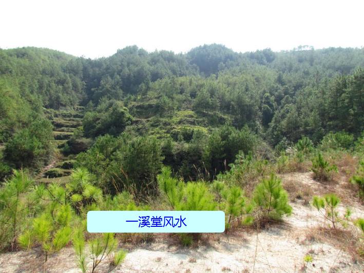 有图有真相原句,有图有真相正能量