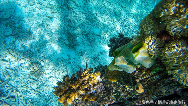马来西亚仙本那最海岛海景,马来西亚仙本那海岛推荐