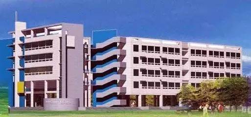 最美的鸟巢,鸟巢全景全部