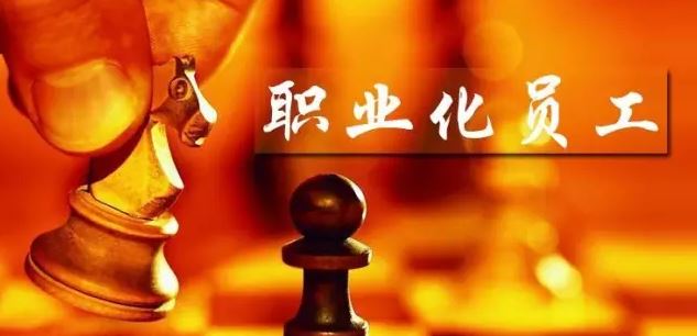 职业化的真正含义,关于职业化正确的说法是