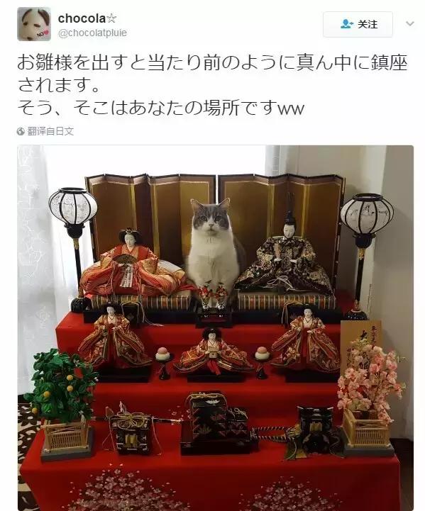 3月3日女儿节日本,日本3月3日女儿节