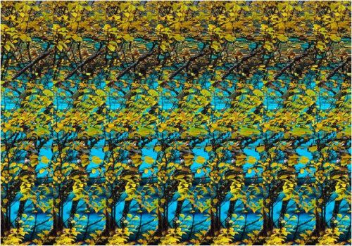 在家可以实现观看裸眼3d电影吗,可以裸眼看的3d电影