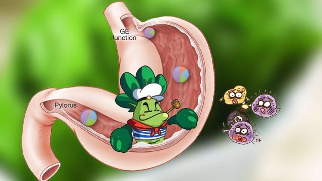 叶酸对萎缩性胃炎伴肠化有作用吗,叶酸能治慢性浅表萎缩胃炎吗