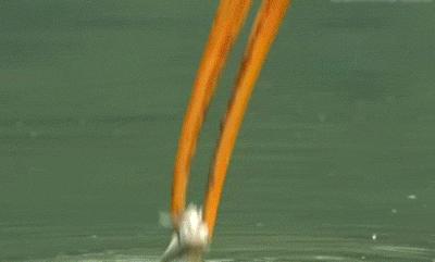 学弟医学院,欢迎各位学弟报名贵州大学