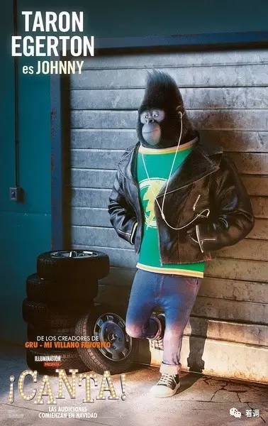 动物好声音所有歌曲,动物好声音