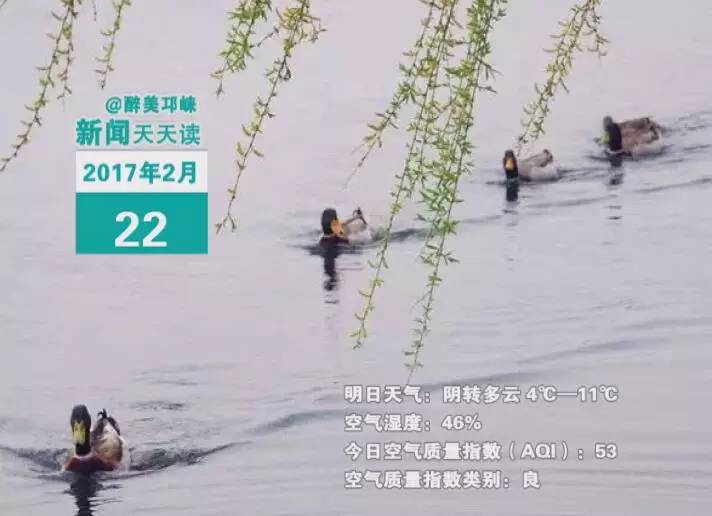 邛崃市新闻公众号,邛崃新闻头条官方网站